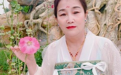 做瑷瑷瑷的网站